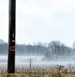 Image description